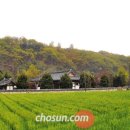 호암초등 이미지