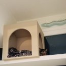 묘릉도원 이미지