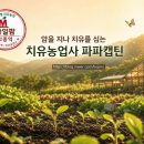 의정부 가볼만한곳 직동근린공원 둘레길, 시청 뒤 숨은 힐링 산책 코스 후기