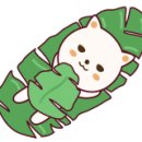 원(one) 미용실