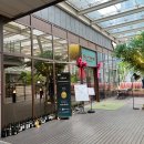 정자 반려견 | 정자역 우텐더 한우 오마카세 후기 | 기념일에 딱! 반려견 동반 가능 맛집 | 내돈내산