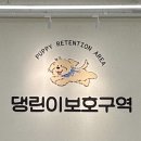 댕린이 보호구역 이미지