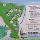 몽상핀 네이버블로그