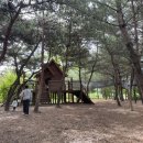 산림문화협동조합더그루 이미지