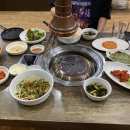 시민도야지