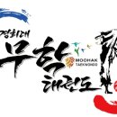 경희대sky태권도장 이미지
