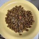 희망온누리약국 이미지