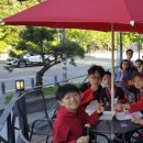 용인대 영화 태권도장 이미지