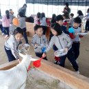 남산초교병설유치원 이미지