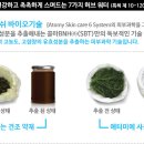 세븐솔