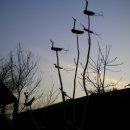 나무와새어린이집 이미지