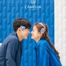 스튜디오까멜리아