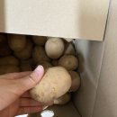 쿠잉프레쉬