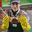 영덕대게 이미지