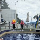 베베올레 | 내돈내산)여수 베베올레키즈펜션 후기