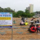 인기농장 이미지