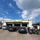 유형백카 이미지