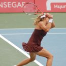 한솔코리아 이미지