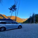 필리가 캠핑 이미지