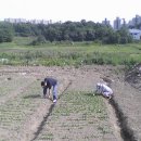 경선농장 이미지