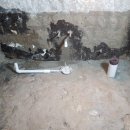 면목현대 이미지