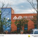 경기도 수원 일월수목원 방문후기, 식물과 예술이 어우러진 힐링 명소