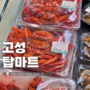 탑마트고성점