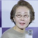 서래안경 | 도쿄 가구라자카 안경점 가메만넨 후기 | 가격·티타늄·윤여정안경·영업시간·내돈내산