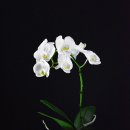 연수2동 주민센터 이미지