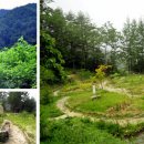 소금강장천마을 이미지