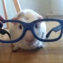 새터분식 | 응그래응뭐뭐응응그래