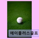 에이플러스골프