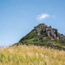 생태원길(배롱나무길) 이미지