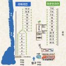 아이비오토캠핑장 | 🌅부산 근교 캠핑장 내돈내산 후기 [ 경남 밀양 아이비캠핑장 ]