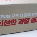 샤인머스켓 에이드 만들기 조은팜영농조합 샤인머스켓1KG
