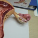 그린한의원 이미지