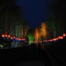 주말상설공연 이미지