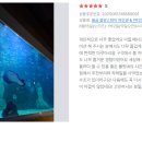 물멍스테이 이미지