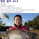 영남대물피싱