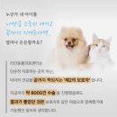 운정W동물병원 | 운정24시동물병원, 1만 명 이상의 보호자분이 아이를 믿고 맡기는 이유.
