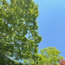 산우물어린이공원 이미지