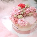 롤리앤폴리 이미지