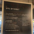 동탄맛집 빨간호랭이 분식공방 후기