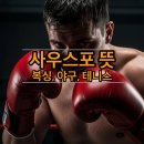 JK 복싱 | 사우스포 뜻 복싱 야구 테니스 단순한 왼손잡이가 아닙니다