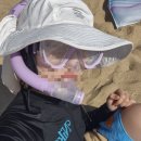 《여자 혼자 하와이 여행 후기 #4》 하나우마베이 스노쿨링, 와플앤베리 아사이볼, 파타고니아 호놀룰루...