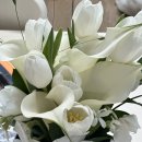 순이추어탕 | [용인 수지] 부케 말리기 @파이데이 공방