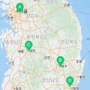 낭만펫 강아지분양 고양이분양 대전 본점 이미지