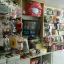 미자애견 이미지