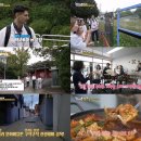 조명여행사