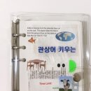 3月𓈒 | 너를 만난 꿈 같은 이야기
